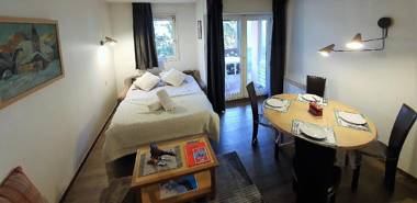 La Rivière Vue Mont Blanc