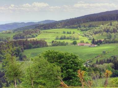 Gîte Jeansagnière 4 pièces 6 personnes - FR-1-496-138