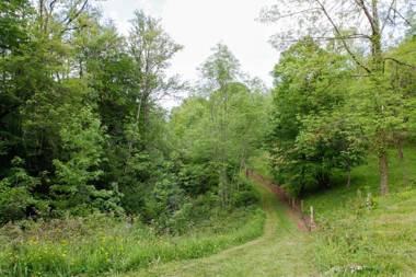 Moulin d'entre les roches