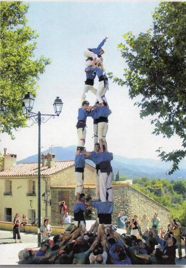 Les papillons en méditerranée
