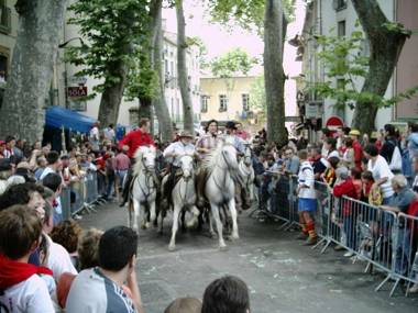 Les papillons en méditerranée