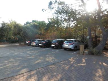 Mas les vieux chenes