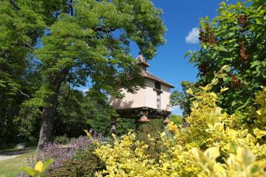Château de Mayragues