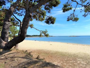 Kermario 1 bel appartement à Carnac Wifi inclus