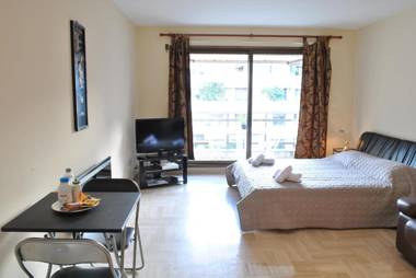 Gray d'Albion POL519 studio