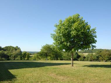 Gîte Cangey 3 pièces 5 personnes - FR-1-381-357