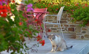 Hôtel Auberge de la Motte Jean