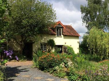 Nature lovers and peace seekers cosy studio in wooded surroundings