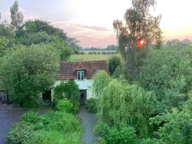 Nature lovers and peace seekers cosy studio in wooded surroundings