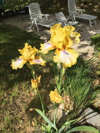 B&b Guest House Domaine le Clos du Pavillon Provence