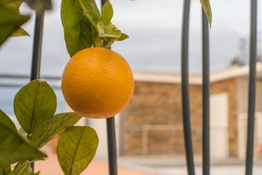 Sure Hotel by Best Western Beziers Le Monestie