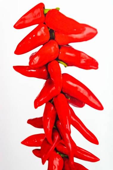 Aquitain Home Gare Saint Jean