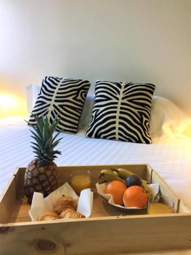 IKO Bordeaux Appartements