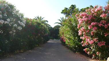 Résidence Maora Village