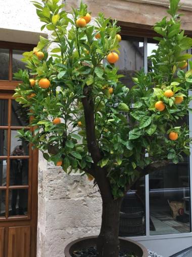 Maison Joséphine avec garage privé