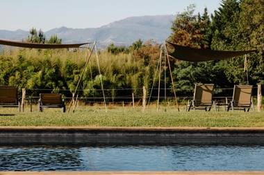 Château du Clair de Lune - Les Collectionneurs