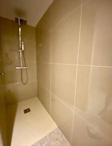 La cactée singulière