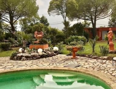 La cactée singulière