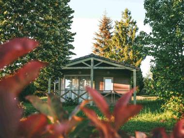 Wooden chalet with covered terrace on the edge of a lake