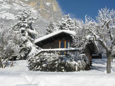 Chalets du Vieux Frêne