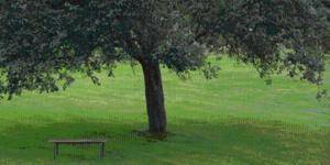 Clos Masure Hôtel De Campagne ®