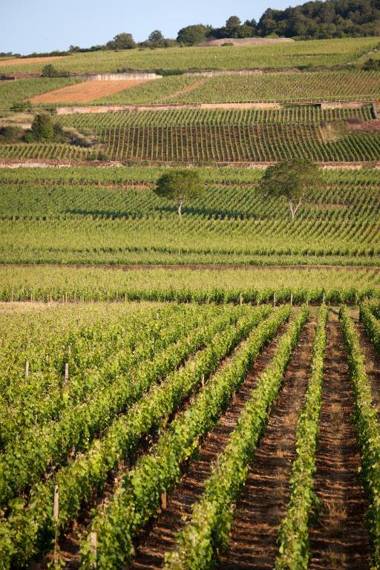 Kyriad Prestige Beaune le Panorama