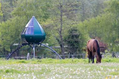 Domaine Du Lieu Dieu