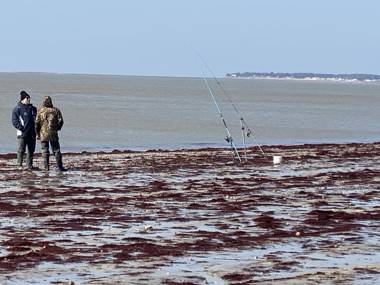 Sympathique maison sur l’île de Noirmoutier