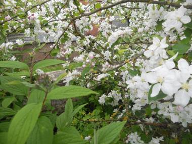 Ferme De Guersignies B&B