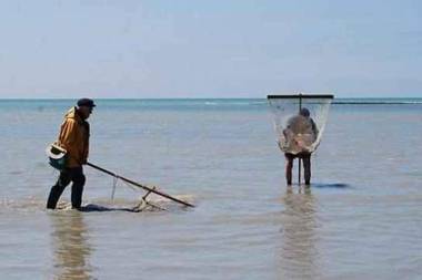 O DELA DE L'O LE BOIS - gîte de charme entre Côte d'Albâtre et Baie de Somme