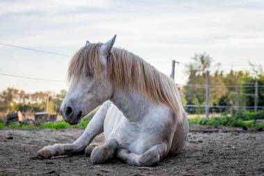 B&B Maison d'hôte Mas d'Eymard