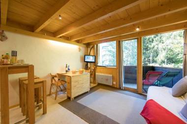 Résidence Grand Roc - Ancolies 104