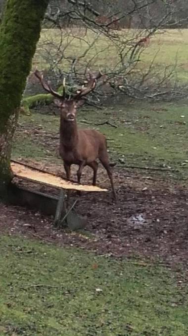 Gîte et Chambres d'hôtes du Domaine du Val Bruant