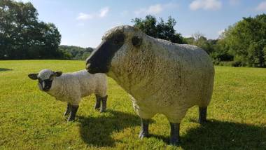 Maison d hotes Lapitxuri