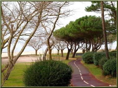 Appartement Arcachon 3 pièces 4 personnes - FR-1-374-71