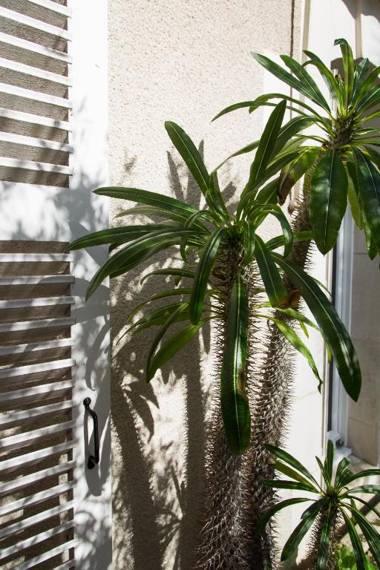 Chambres et Tables d'hôtes du Puits d'Athie