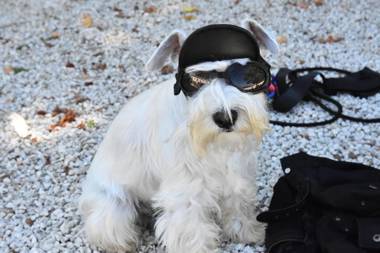 Le Mas Des Bories - Grand Perigueux