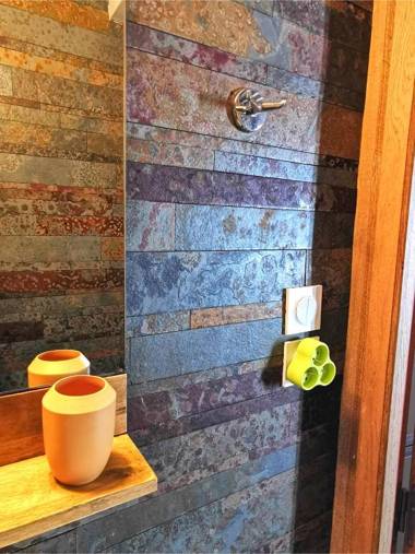 HOME SAVOIE - Le Cygne