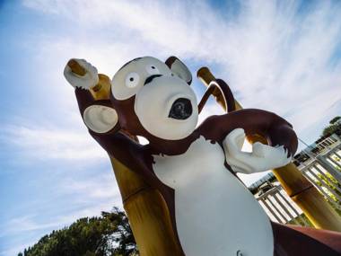 Camping A La Corniche La Rochelle Angoulins