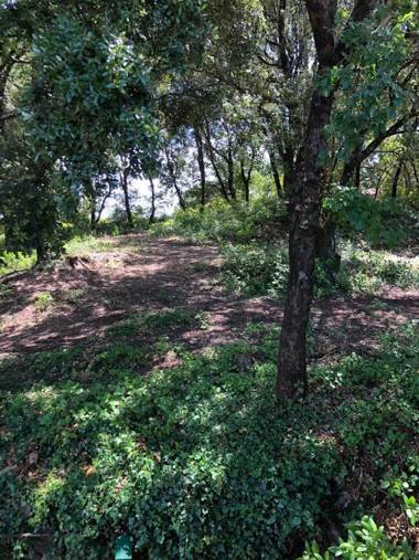 Chambres d'Hôtes La Bastide St Julien