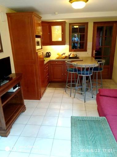 Appartement d'une chambre avec jardin amenage et wifi a Alfortville