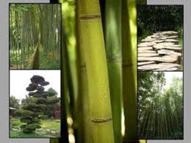 Premiere Classe Ales - Anduze