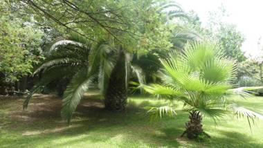 Hôtel Du Patriarche