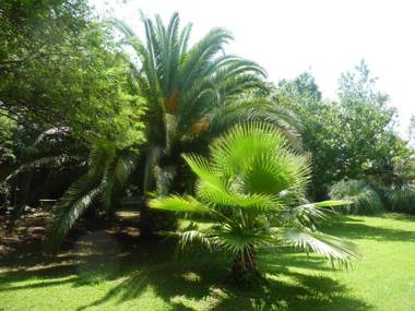 Hôtel Du Patriarche