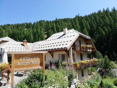 Gîte Ancolie Bleue