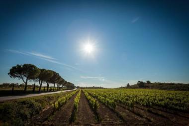 B&B Domaine de la Ramade