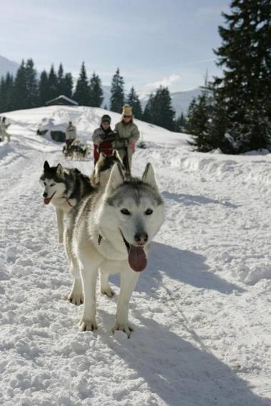 AI208 Studio 4 Pers Proche base de loisirs Carroz