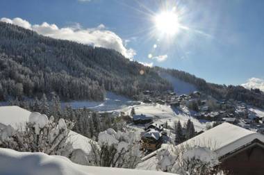 EA031 - Studette proche centre des Carroz