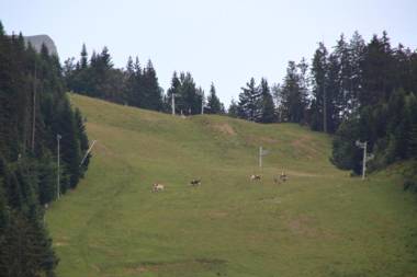 SH104 - Studio 4 pers centre des Carroz