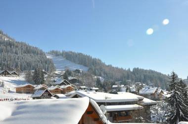 SL127 - 2 Pièces 4 Pers centre Carroz